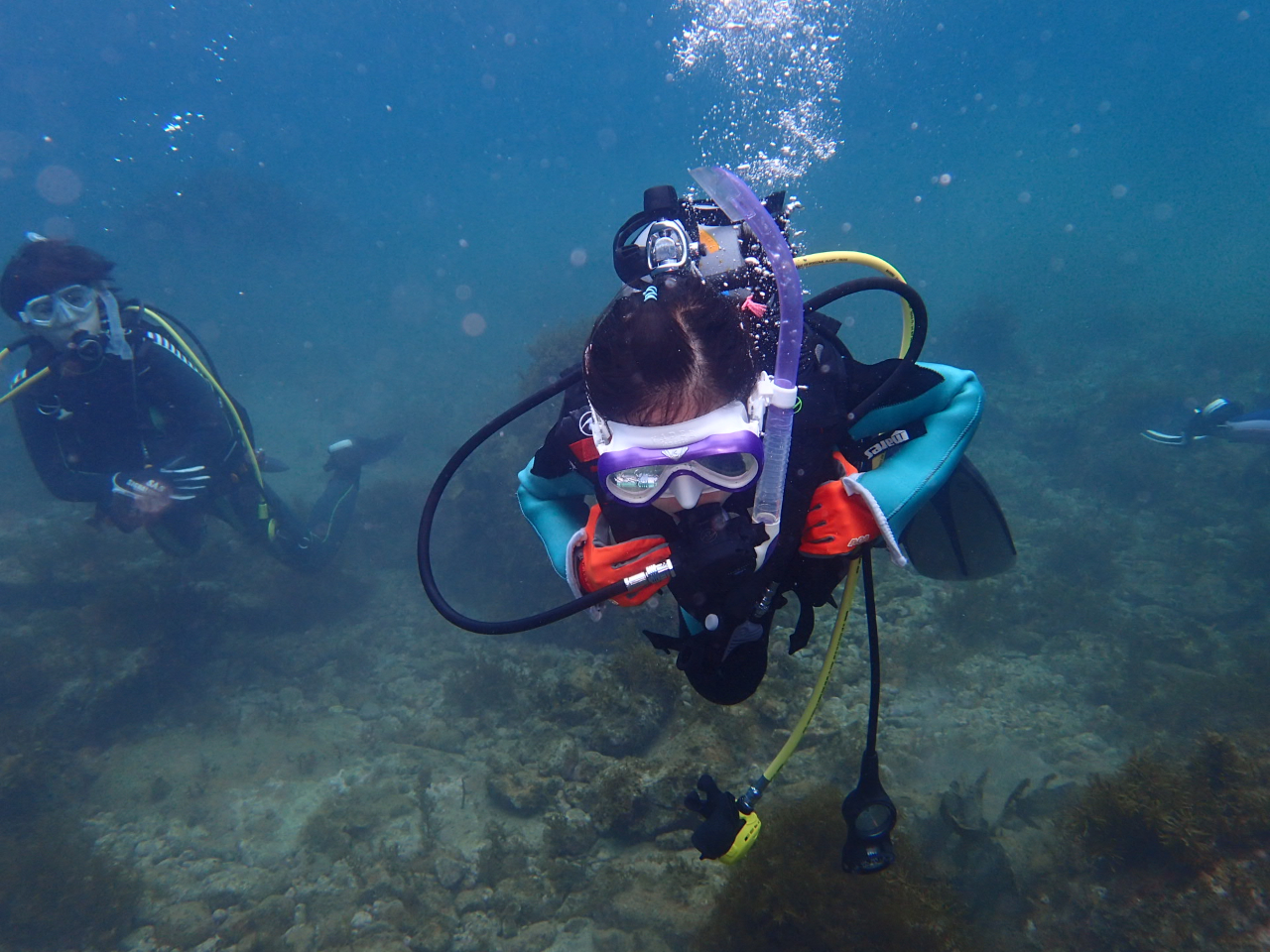 ̂ł撣ĉj_CrO͖d͂̐E