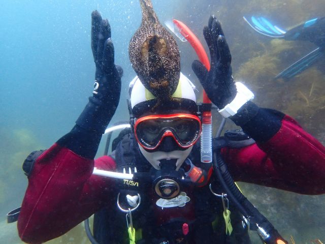 こんなことも出来ちゃう(笑)