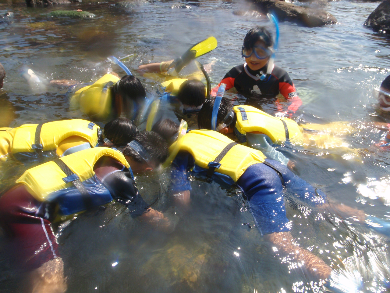 【カヌー体験・写真プレゼント付き】お一人様からカップルファミリーまでどなたでも参...