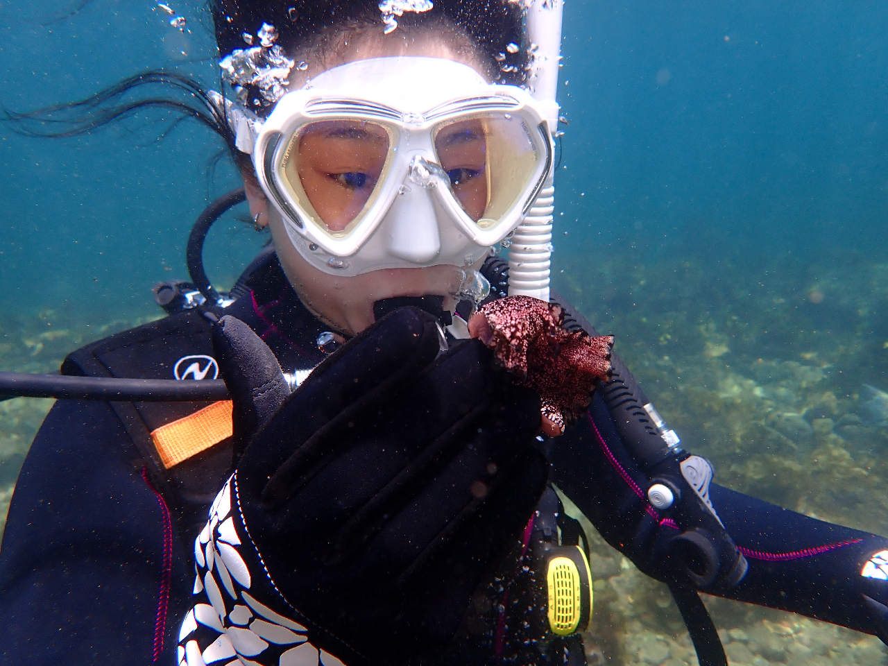 海の中にはいろんな生物がいるんだぁ〜♪