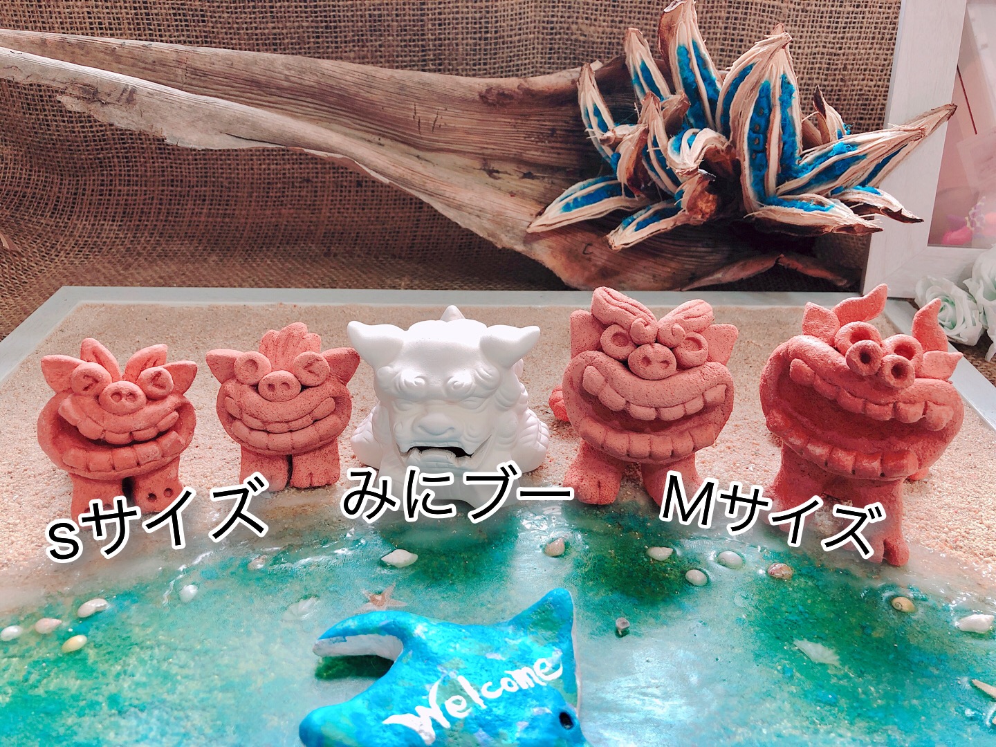 Sサイズ、ミニぶー、Mサイズ