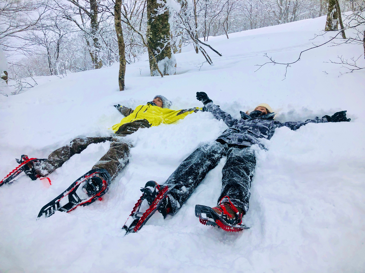 tJtJȐ̏֎vQׂ̂AōɋČłB