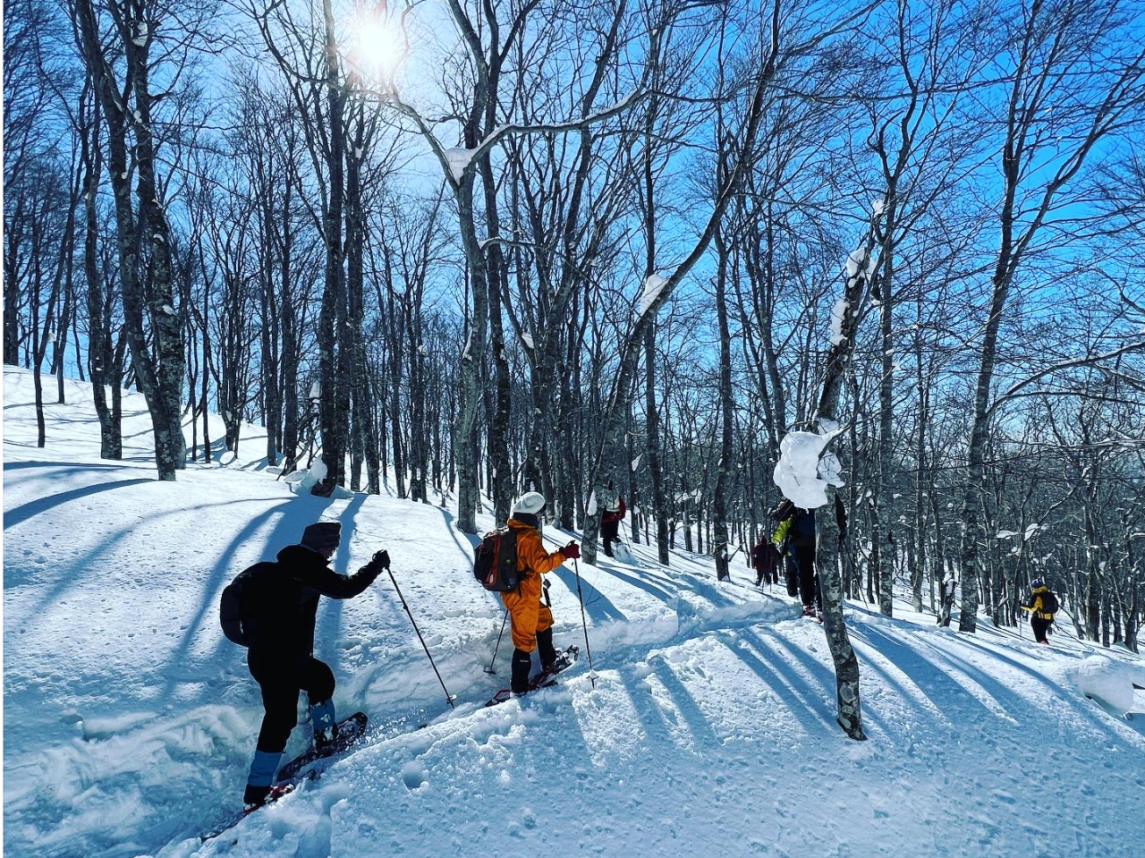 道中は美しい雪景色に包まれたブナ林の中を歩きます。