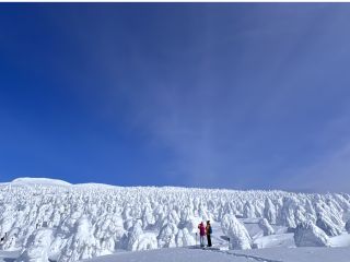 山形の冬の絶景「樹氷原」