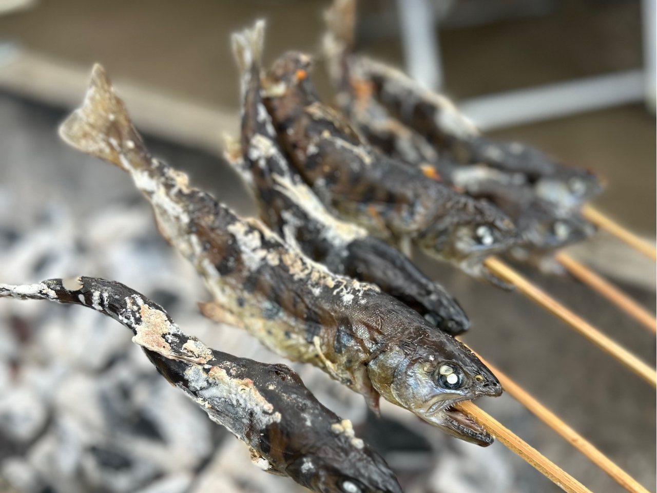 BBQ�n�E�X�͉����Ɖ΂��������ꏊ������܂��B�ނ������͂������̂��ƁA�H�ׂ����H�ނ���������Ŋy����ł��������B
