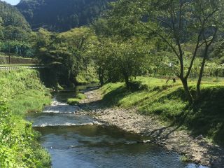 北浅川の渓流を利用した釣場です。木陰もあり爽やかです。