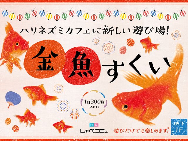 まずは気軽に30分プラン 金魚すくいまでできる欲張りセット 心を鷲掴みにさせるハリネズミちゃんとのふれあい 仙台駅より徒歩7分 あおば通り駅より徒歩3分 しゃべコミュ 仙台店 じゃらん遊び体験 まずは気軽に30分プラン 金魚すくいまでできる欲張りセット 心を鷲掴みにさせるハリネズミちゃんとのふれあい 仙台駅より徒歩7分 あおば通り駅より徒歩3分 しゃべコミュ 仙台店 じゃらん遊び体験