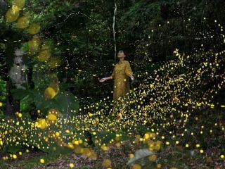 2月〜5月限定の開催のため、大人気ツアーとなっております!ご予約はお早めに!