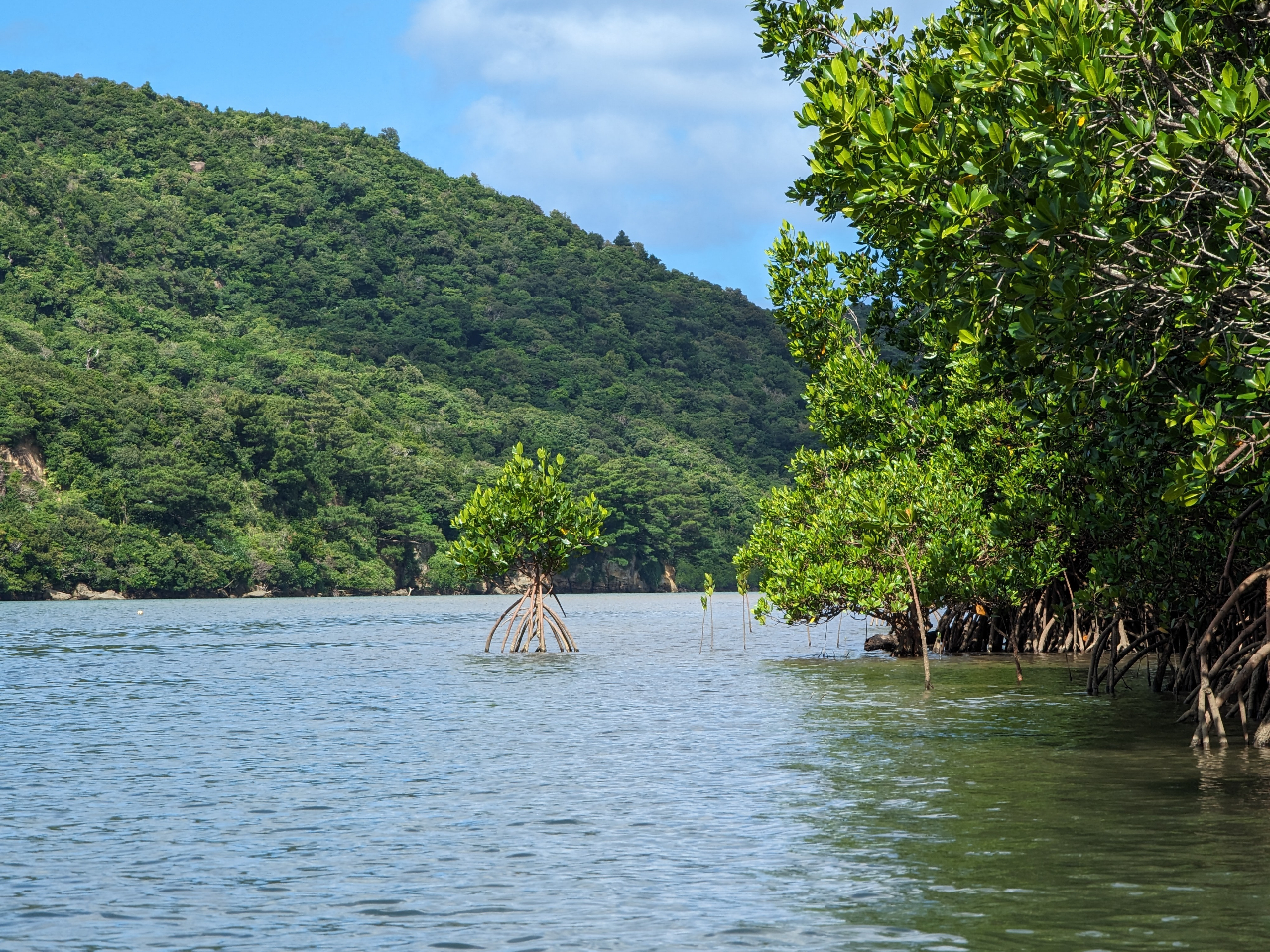 世界遺産に登録された大自然を楽しめる!