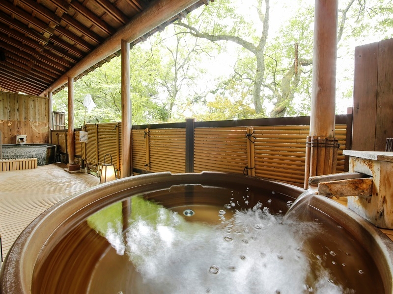 ≪当日予約可能!≫温泉ソムリエおすすめ!日帰り入浴~加温・加水なし!温泉で免疫力...