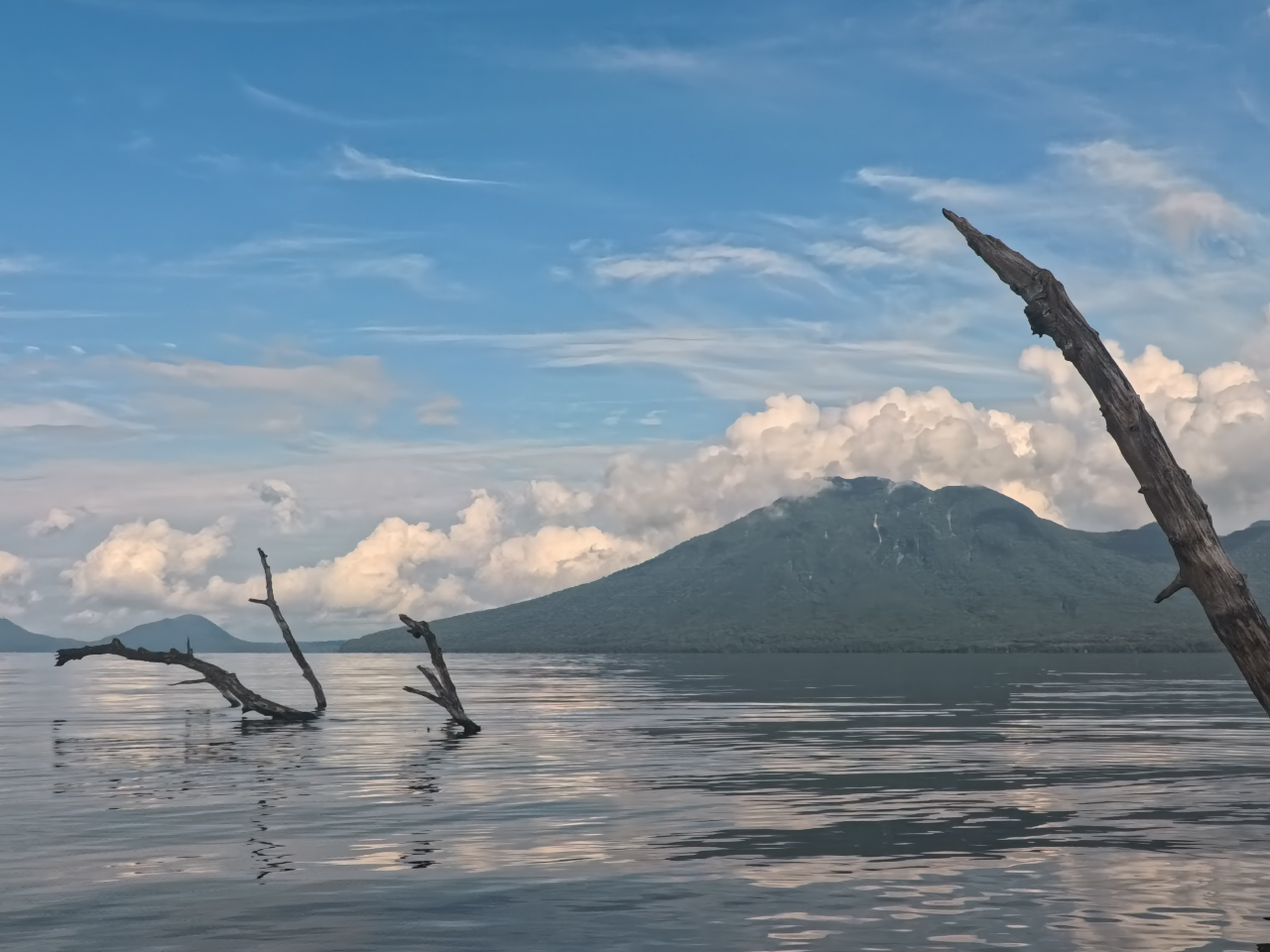 ����Y���