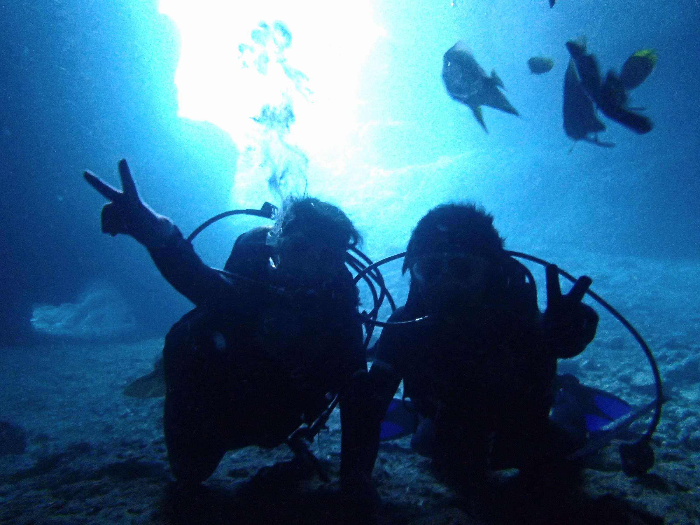 幻想的な青の世界に包まれる