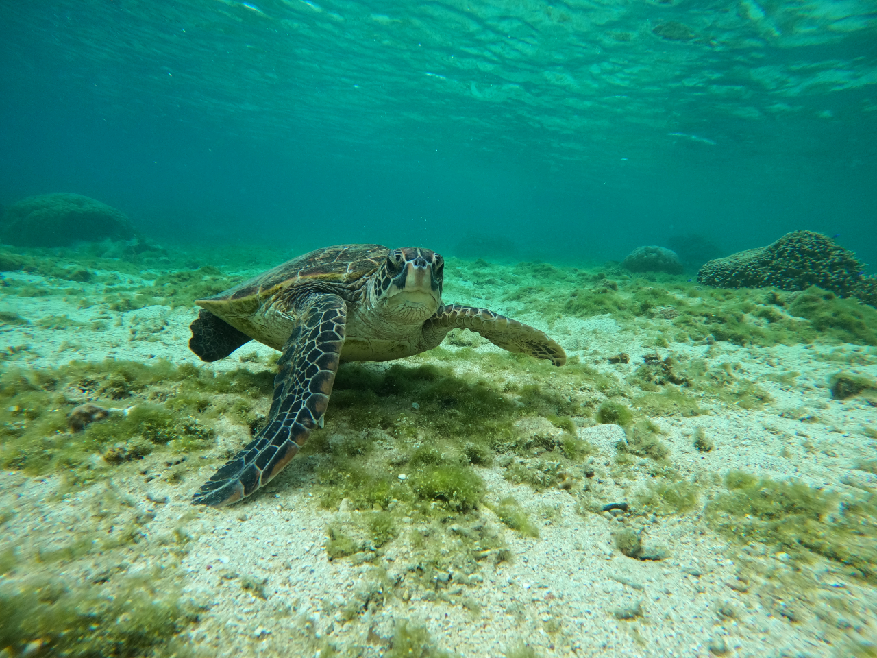 ����ɂ���