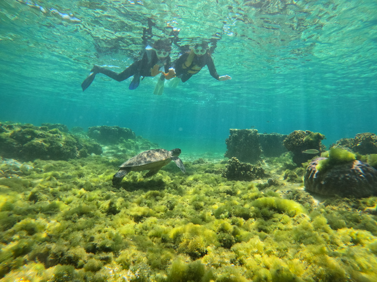 ��܂�����