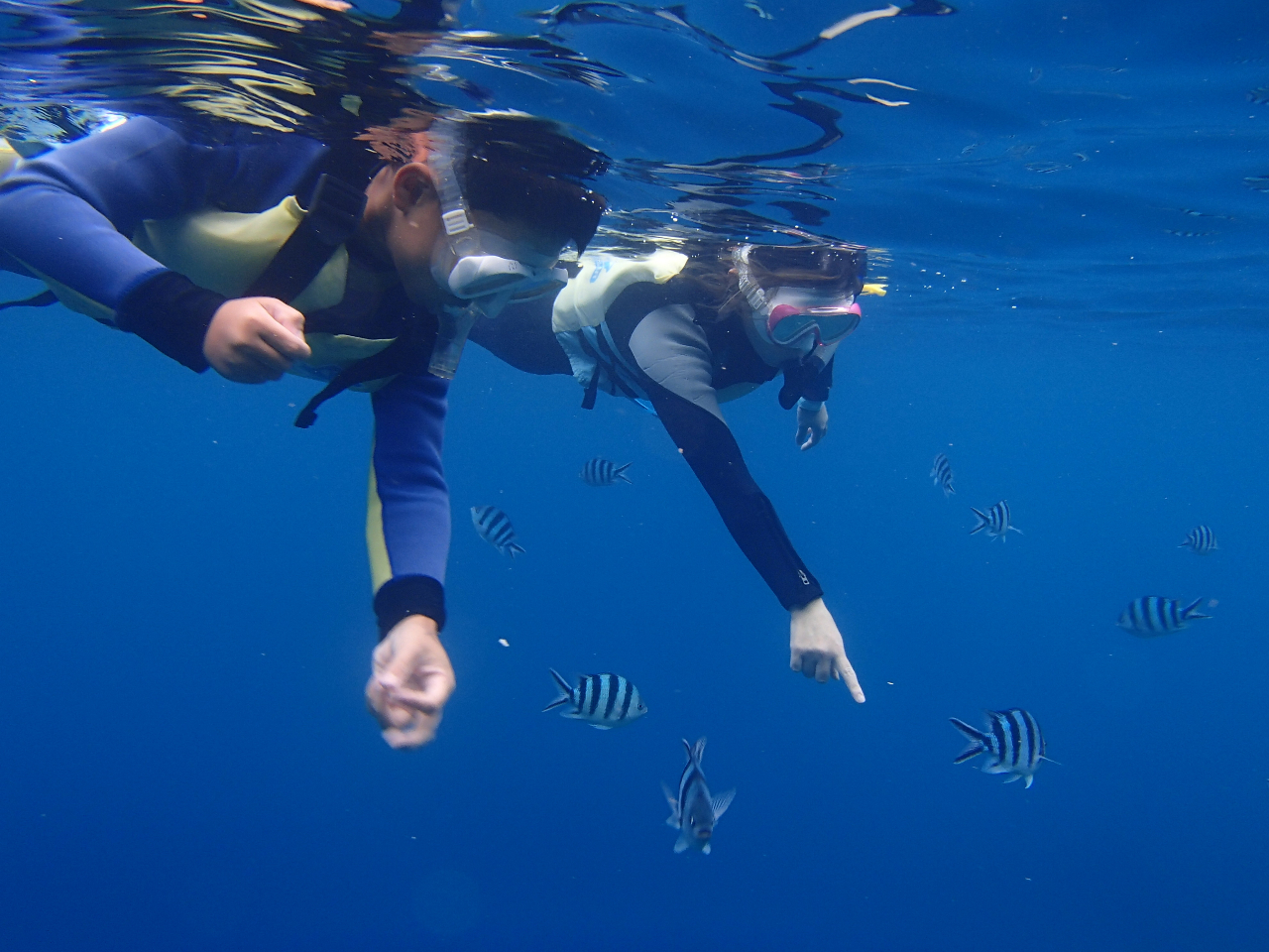 ���낢�딭��