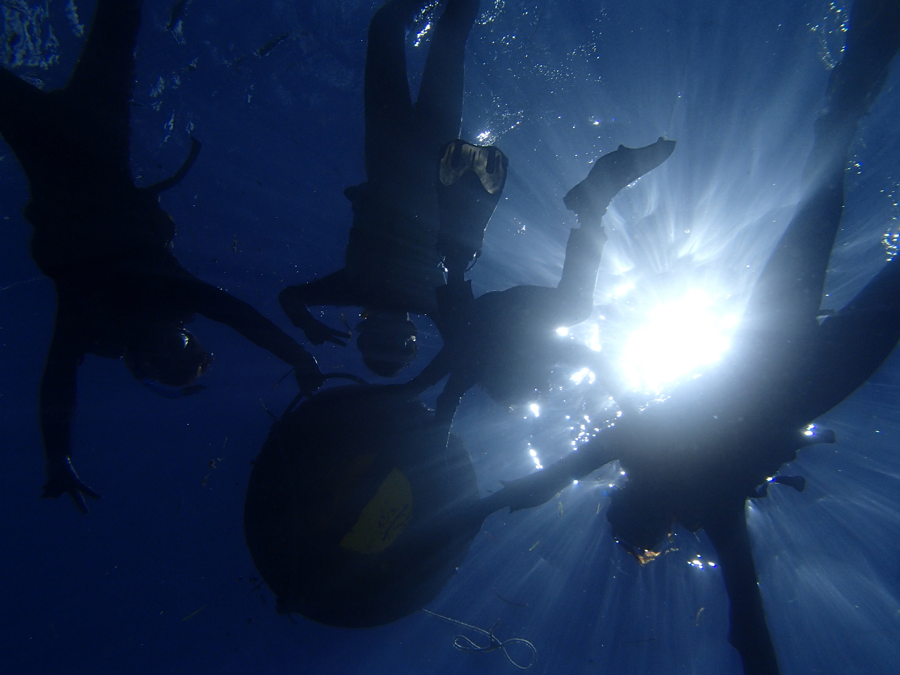 �Ƒ��݂�Ȃ�