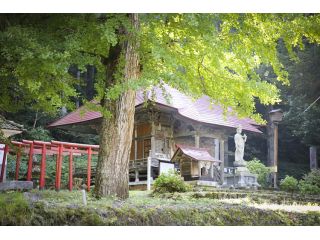 会津熱塩温泉 観音風呂 樹齢百年以上の大木に囲まれた会津の奥座敷に湧く湯をお楽しみください ホテルふじや じゃらん遊び体験
