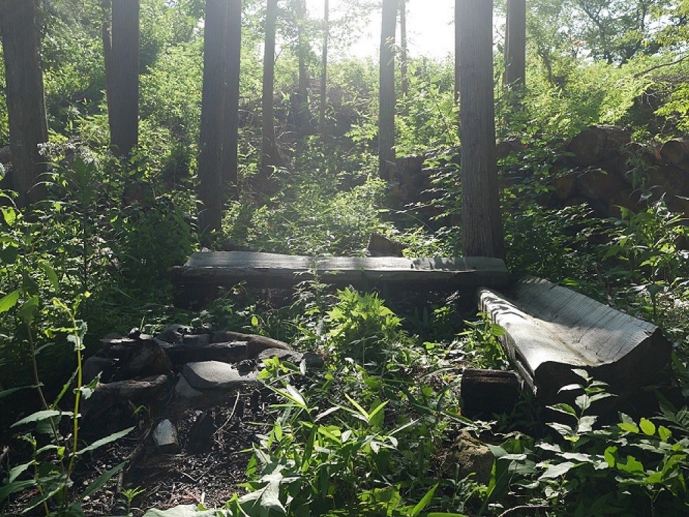 ǂBĂtHgWFjbNȁuȂ񂾂בv
ꏊłĂ
fȂ̂ƂĂcOAA
