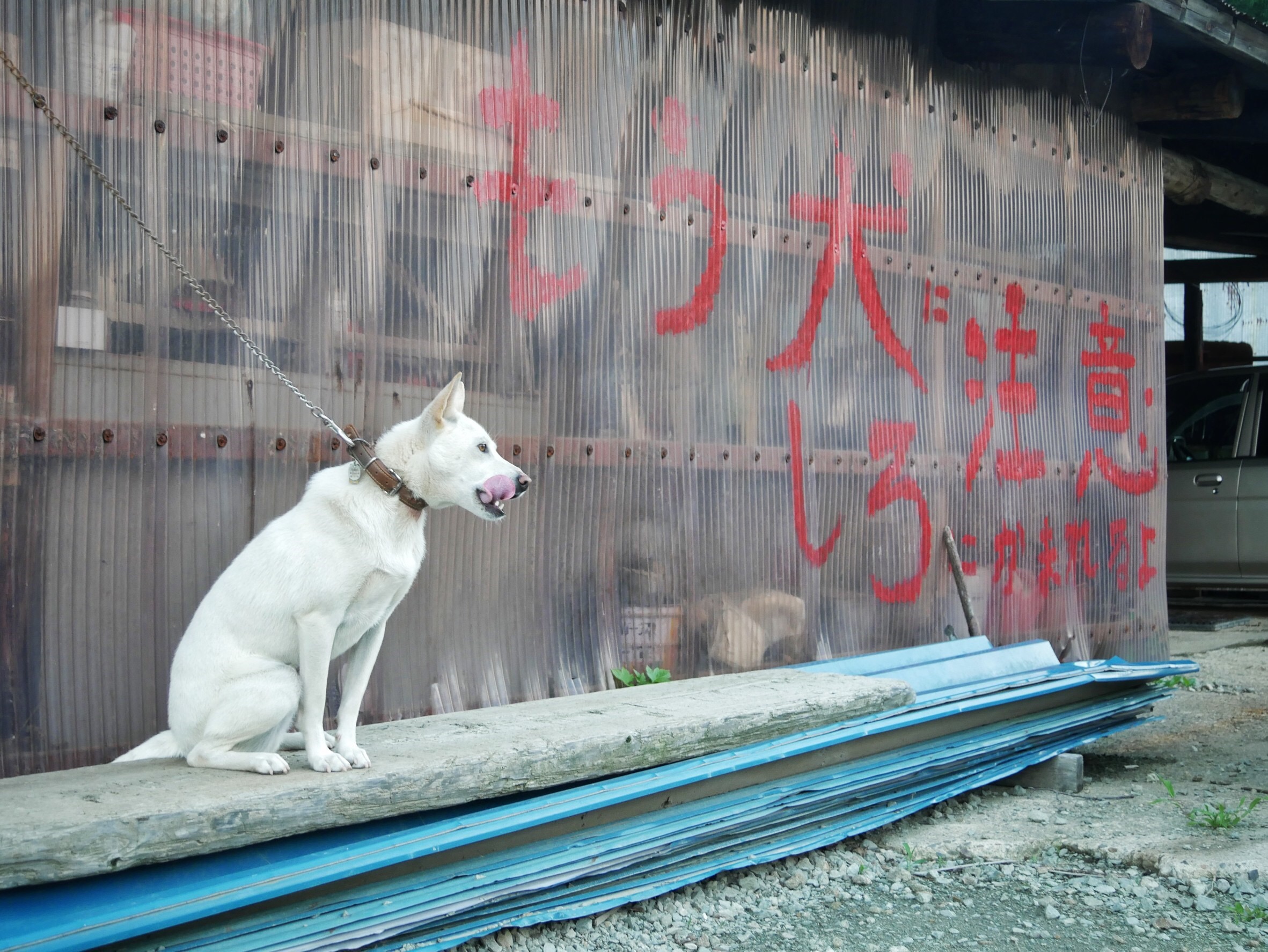 uȂ񂾂בv̔ԌVI
ǂȂĂō̂o}Ă܂II
