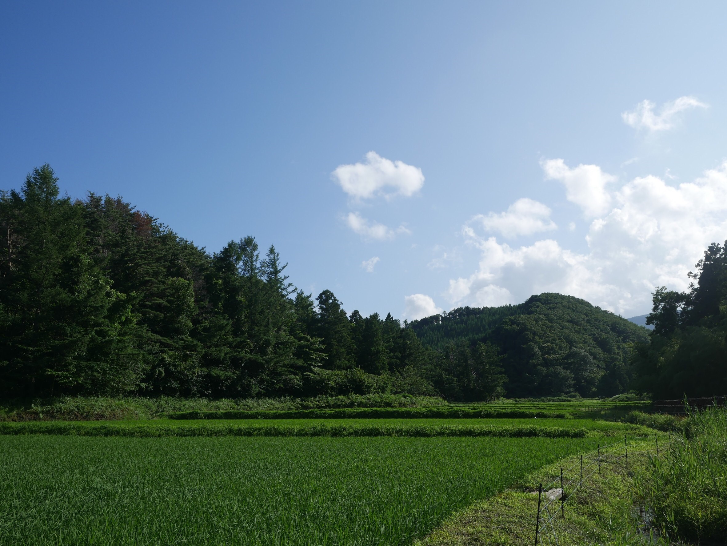 uȂ񂾂בv̓ci
G߂ɂĂ܂܂ȊĂ܂
Ă邾ŐSx܂邱ƊԈႢȂłII