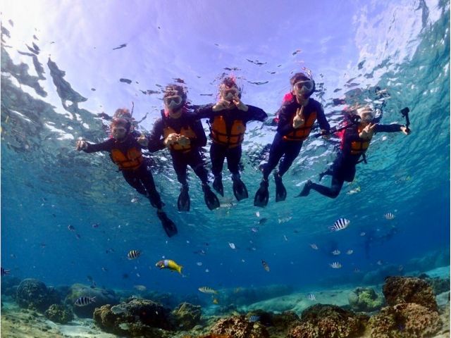 インストラクターが付き添いますので泳げない方も安心して参加できます。熱帯魚餌付けも無料で体験できます。