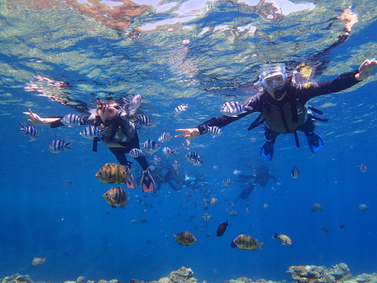 JtȔMыɉatő̌ł܂B