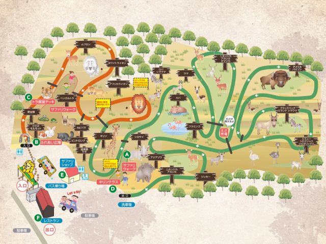 サファリゾーンは約1時間をかけて車で見学できます♪               その他にもサファリショップやふれあい広場など歩いて見学できる場所も!