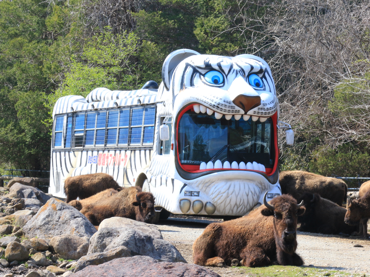 ̓炷ATt@][ɎԂœ˓I