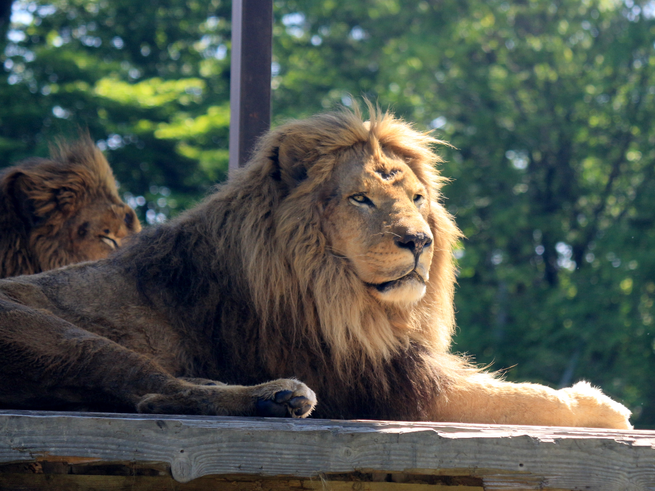 唗͂̃Tt@p[NAtJCIԋ߂Ō邱Ƃł܂I