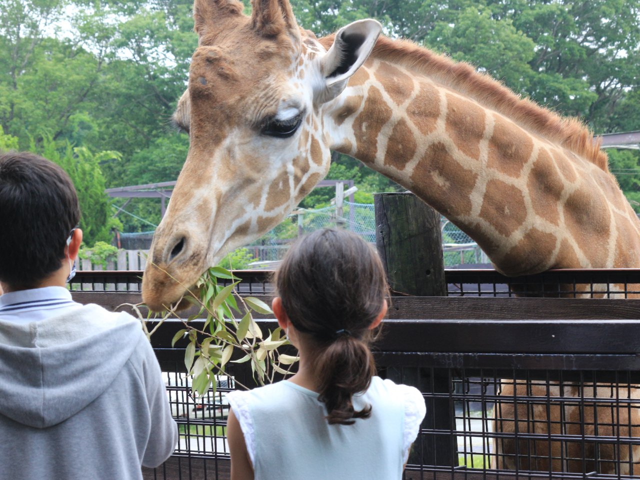 Lԋ߂܂łuLeXvł̓GT邱ƂI