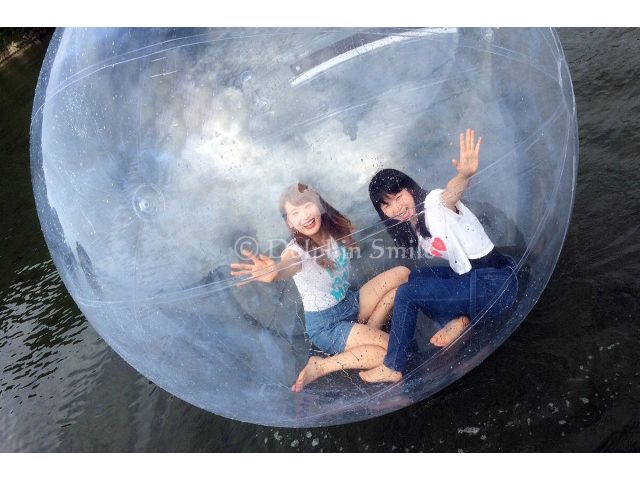 水玉 アクアボール 体験プラン ボールの中に入って海の上を遊覧 水上をおさんぽしちゃいましょう dolphin smile じゃらん遊び体験 水玉 アクアボール 体験プラン ボールの中に入って海の上を遊覧 水上をおさんぽしちゃいましょう dolphin smile じゃらん遊び体験