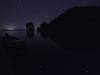 海ホタル鑑賞ツアー 感動体験 夜の海に蒼く輝く幻想的な光 はたしてその正体は ファミリー カップルにオススメ dolphin smile じゃらん遊び体験 海ホタル鑑賞ツアー 感動体験 夜の海に蒼く輝く幻想的な光 はたしてその正体は ファミリー カップルにオススメ dolphin smile じゃらん遊び体験