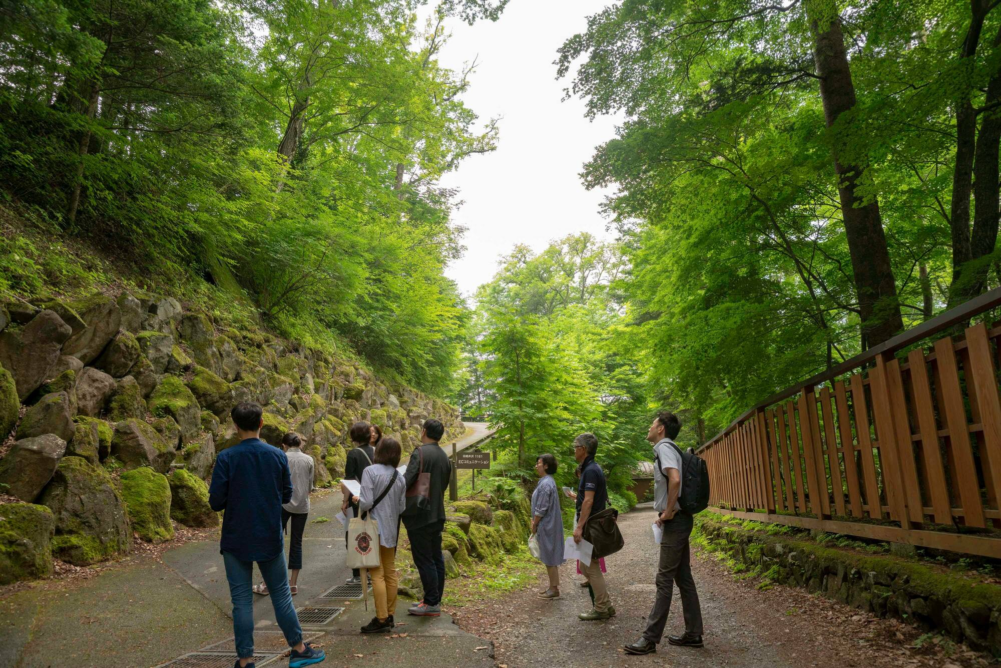 uV[ʂvy̖ؗ̒U􂵂܂