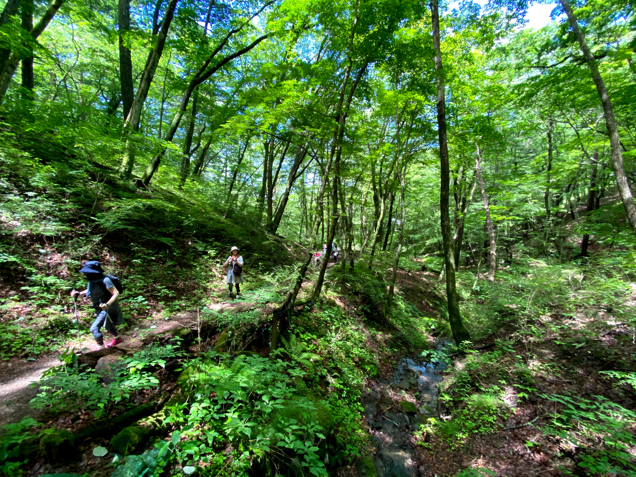 yk1,5ԂقǁAꂽVOX̒ڎw܂B