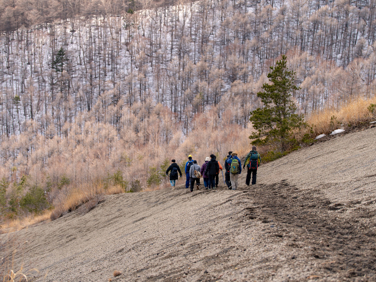 lG܁X̕iy߂܂B^ǂ΃JVJɏoƂI