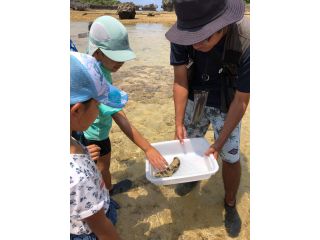 経験豊富なガイドが、楽しく安全に案内します!