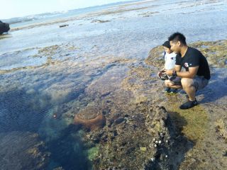 魚がたくさんいるタイドプールでの魚釣りです!