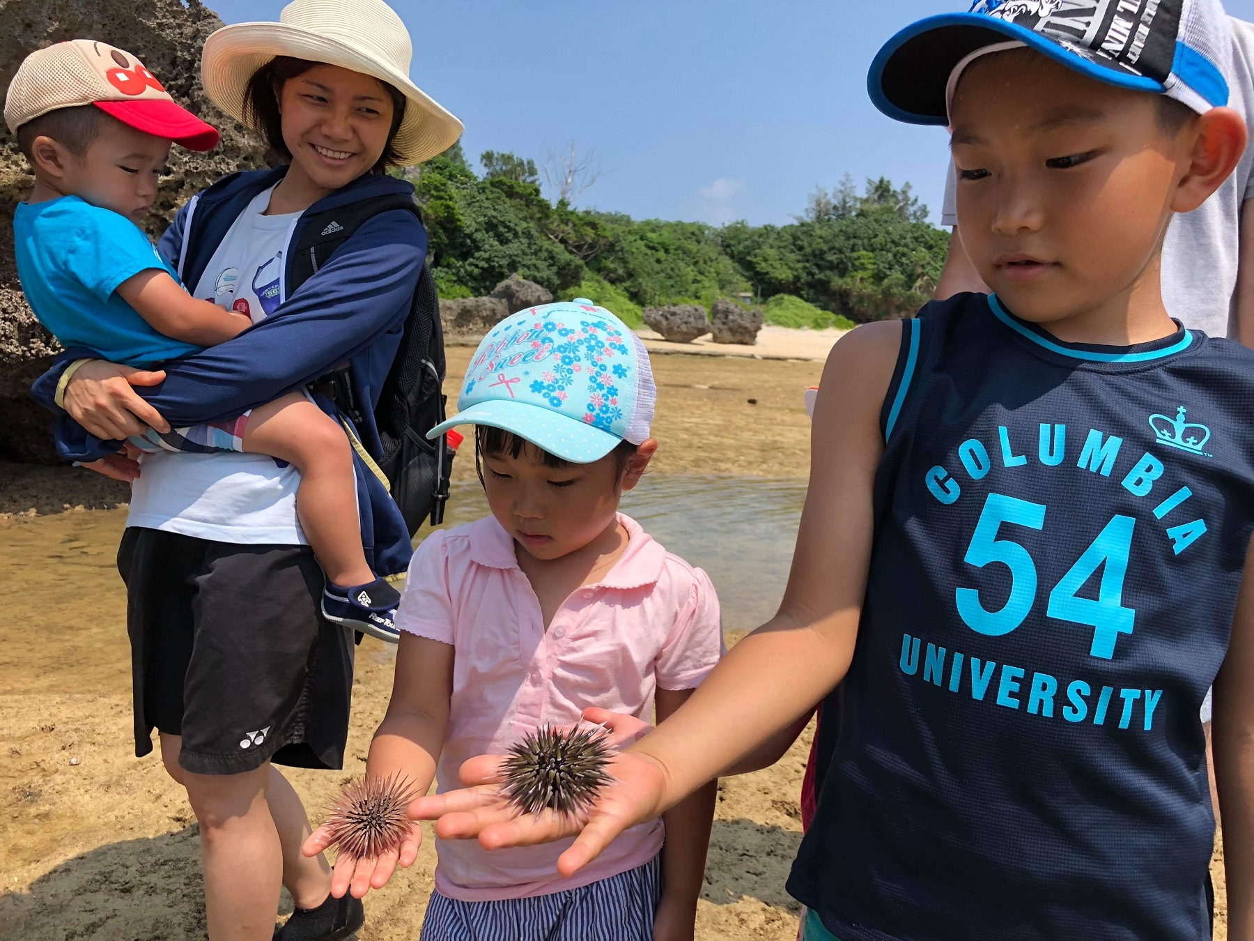 痛いのかな…。実際に触って確かめよう！