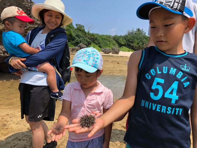 痛いのかな…。実際に触って確かめよう!