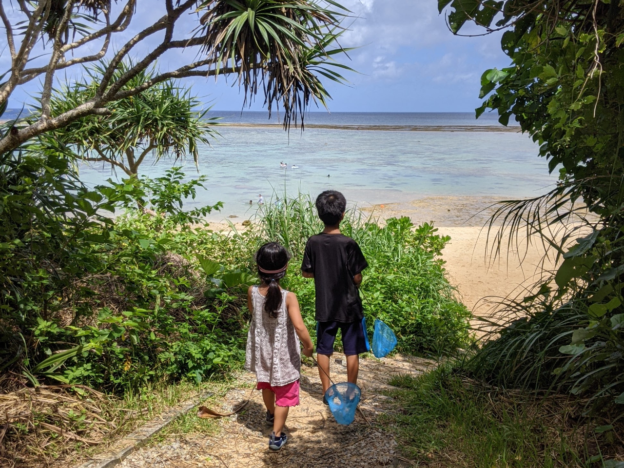 䂵䂵2ŊCɓIǂȐɏo邩Ay݂Ɂ`