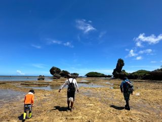 さあ、冒険に出発だ!