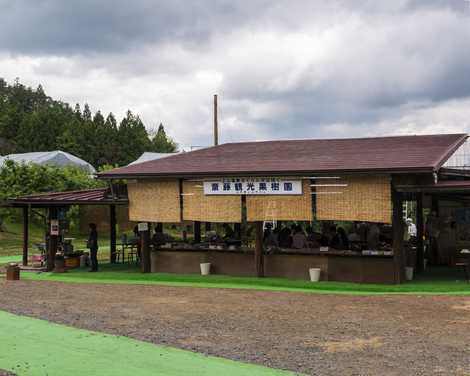 《2026年開催》【山形 上山】サクランボ狩り<30分間>食べ放題♪