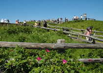 網走国定公園　小清水原生花園コース