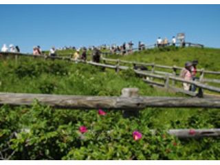 網走周辺で小清水原生花園をメインに観光施設等を周るプランです。