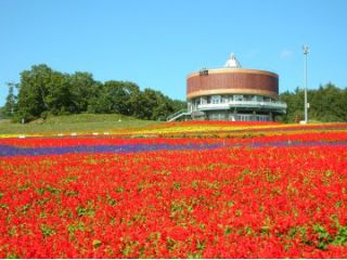 網走周辺で観光地をメインに施設等を周るプランです。
