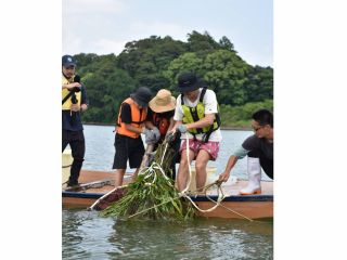 <柴漬け漁>川底に沈めてある「柴(枝)」を束ねたものを引き上げ、その中にいる獲物を大きな網にふるい出して捕る伝統漁法。
