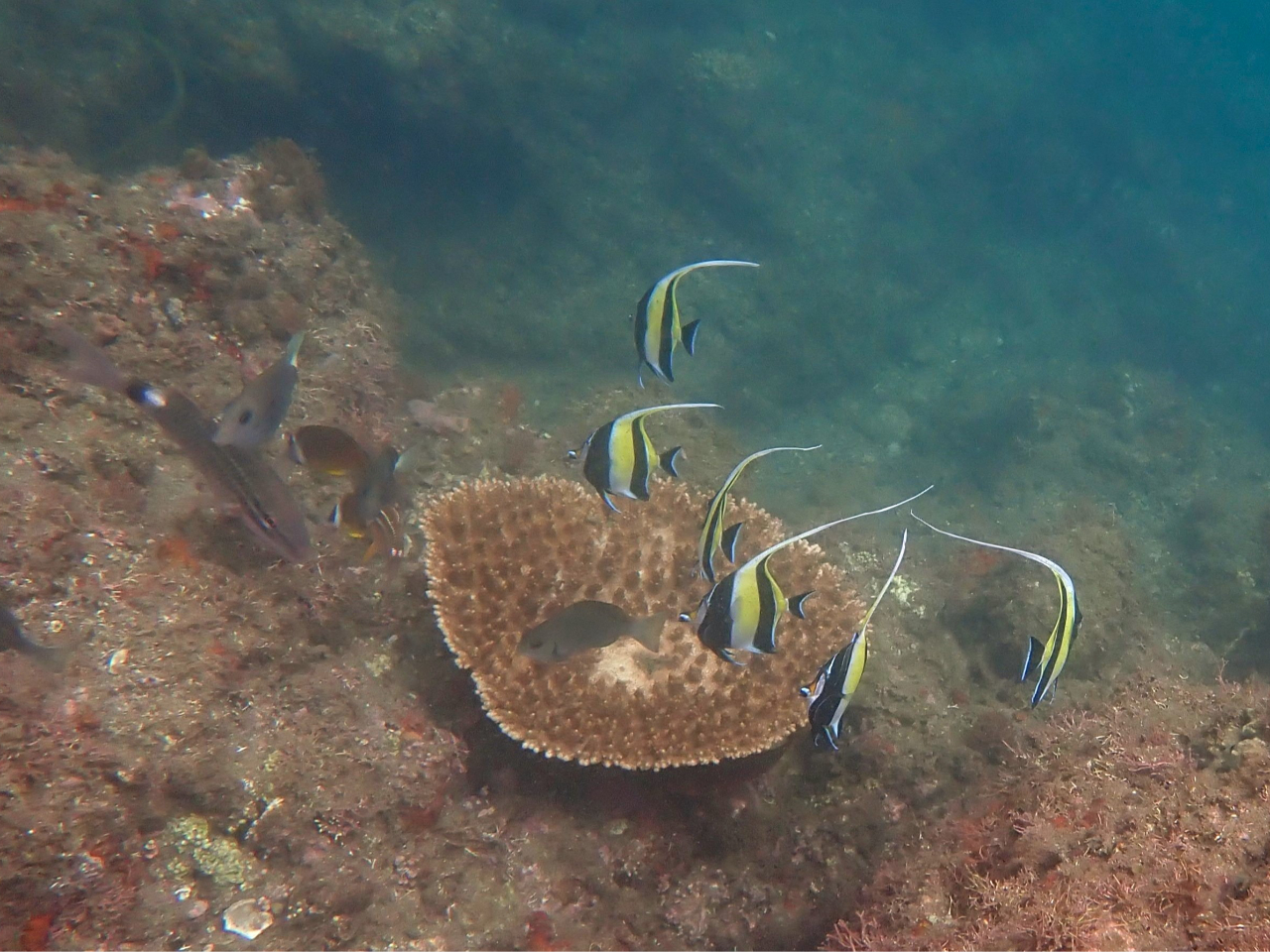 Vm[POŌ鎖o鋛͖ς܂