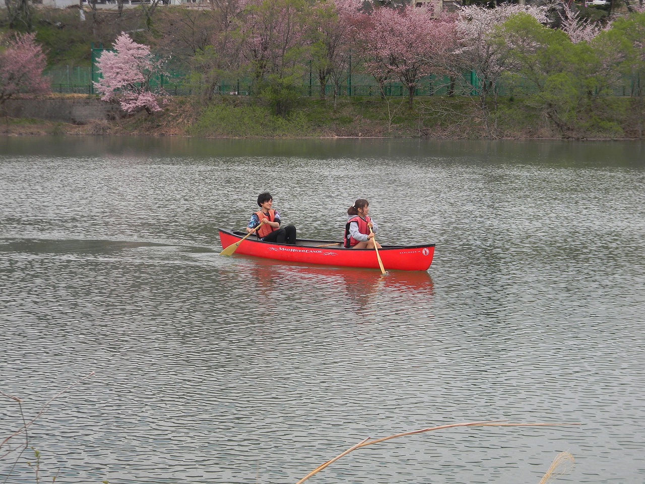 大自然に囲まれて・・・♪