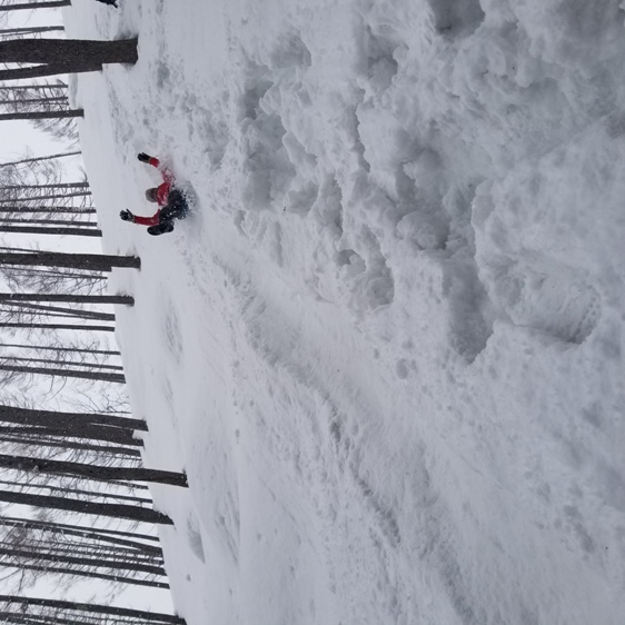雪の山林を滑り抜けよう!!