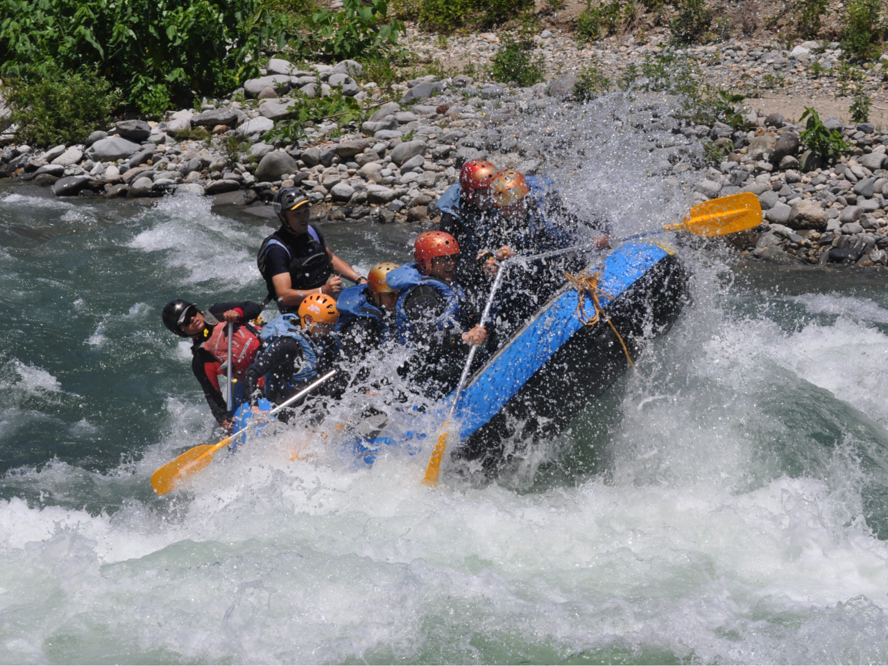 ����Ȍ����ɏo��邩���`�΁I�I